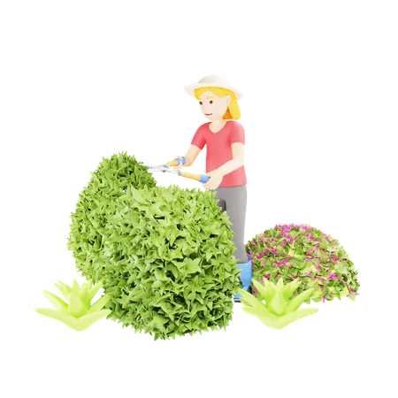 Mujer jardinería manteniendo boj  3D Illustration