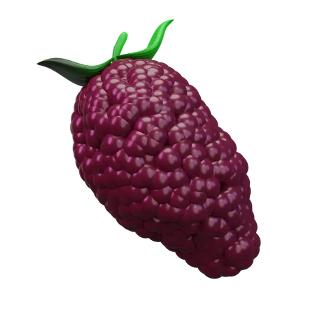 Mulberry  3D Icon