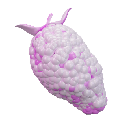 Mulberry  3D Icon