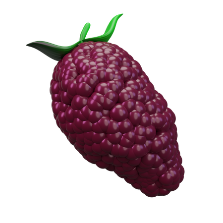 Mulberry  3D Icon