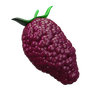 mulberry emoji