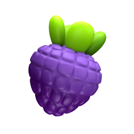 Mulberry Fruit  3D Icon