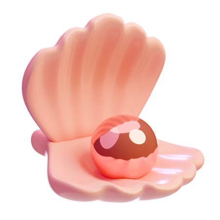 Muschelschale  3D Icon