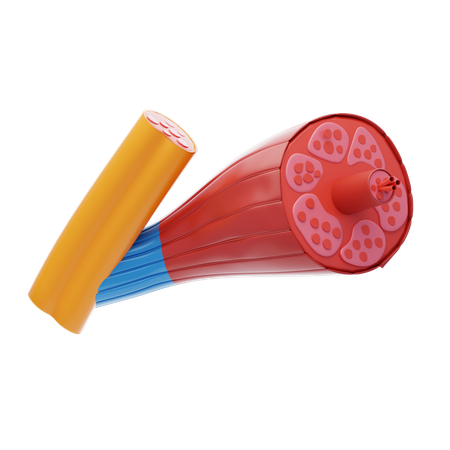 Muscle Tissue  3D Icon