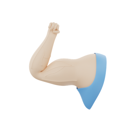 Muscles forts  3D Icon