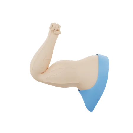 Muscles forts  3D Icon