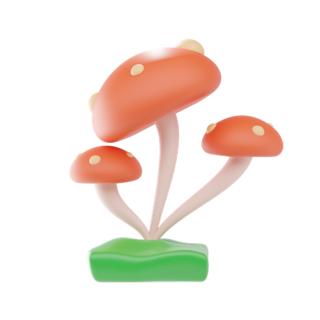 Mushroom  3D Icon