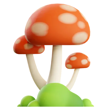 Mushroom  3D Illustration