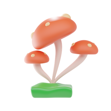 Mushroom  3D Icon