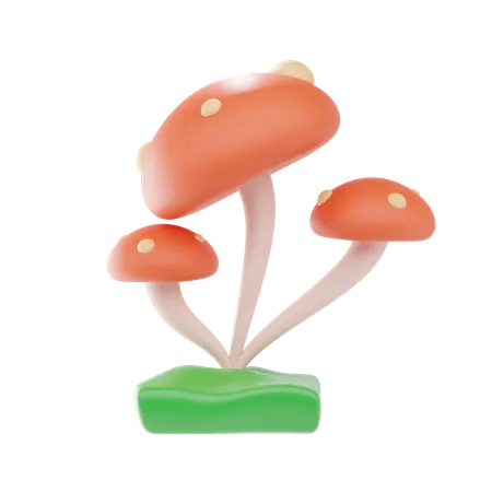 Mushroom  3D Icon