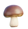 Mushroom