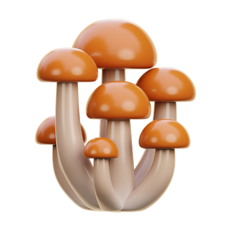 Mushroom  3D Icon
