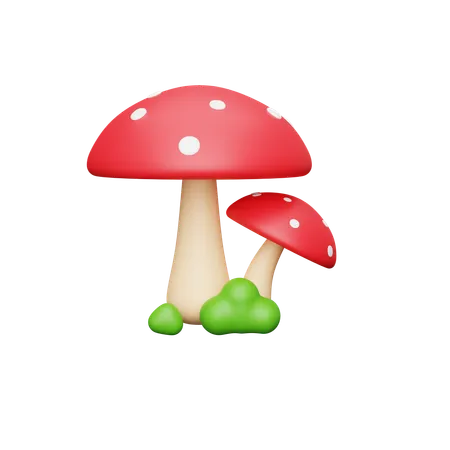 Mushroom  3D Icon