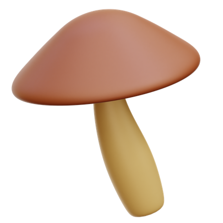 Mushroom  3D Icon