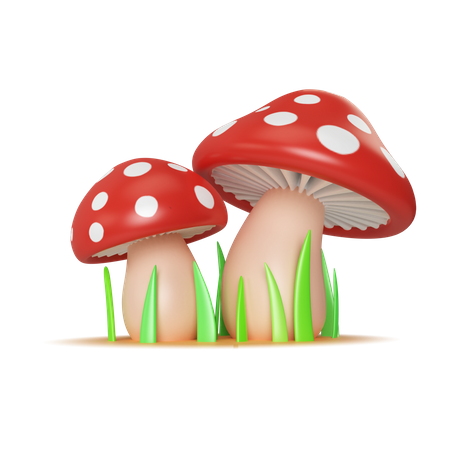 Mushroom  3D Icon