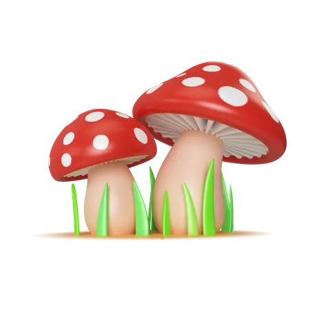 Mushroom  3D Icon