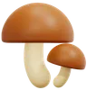 Mushroom