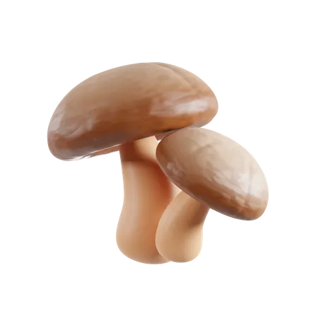 Mushroom  3D Icon