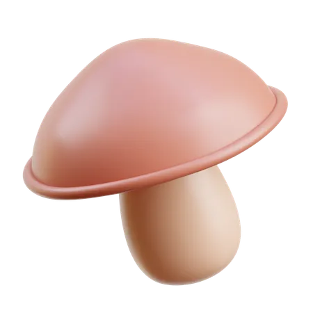 Mushroom  3D Icon