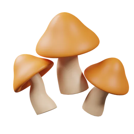 Mushroom  3D Icon