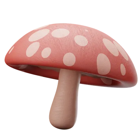 Mushroom  3D Illustration