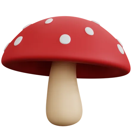 3 D Rendering Mushroom Isolated 3D Icon