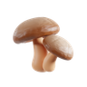 champignon 3d logo