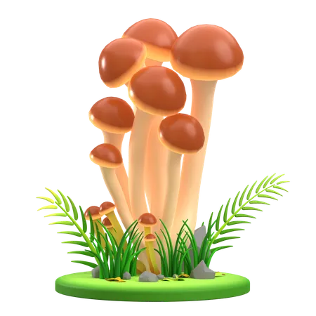 Mushroom Brown cluster  3D Icon