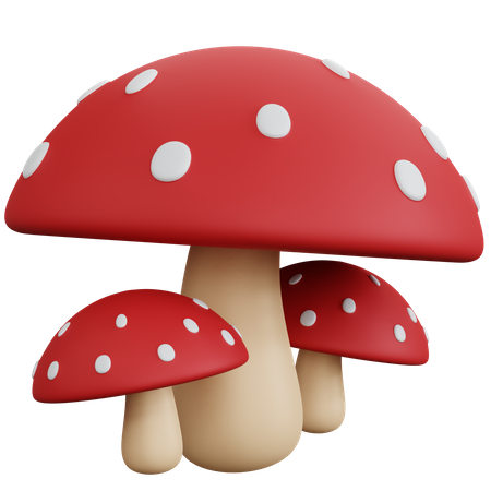 Mushroom Plant  3D Icon