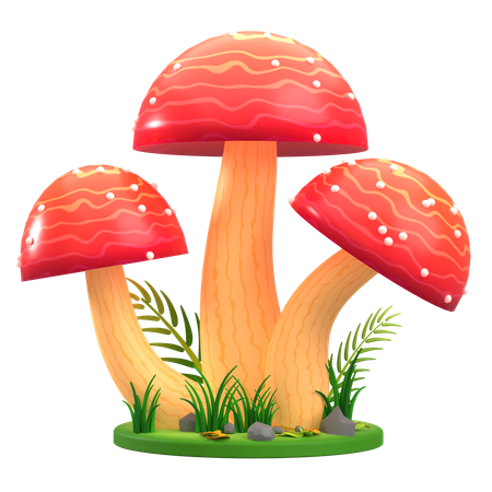 Mushroom Red and White Clustered  3D Icon