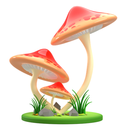 Mushrooms Umbrella  3D Icon