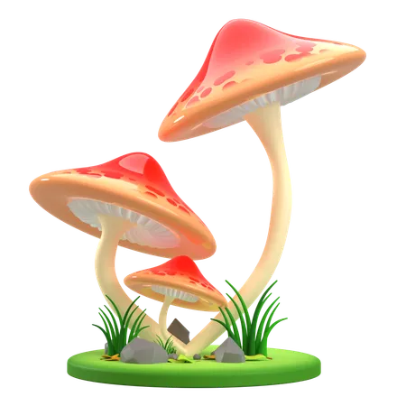 Mushrooms Umbrella  3D Icon