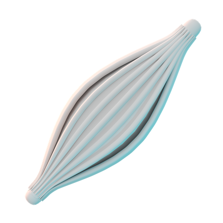 Muskel  3D Icon