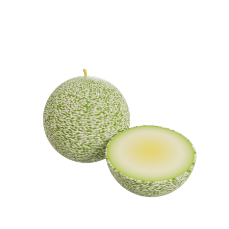 Muskmelon  3D Illustration