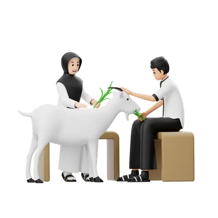 Muslim Man And Woman Giving Grass To Goats  3D Illustration