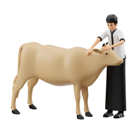 Muslim Man Doing Cow Grooming  3D Illustration