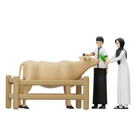 Muslim Men and Women Giving Grass To Cows  3D Illustration