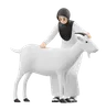 Muslim Woman Doing Cow Grooming