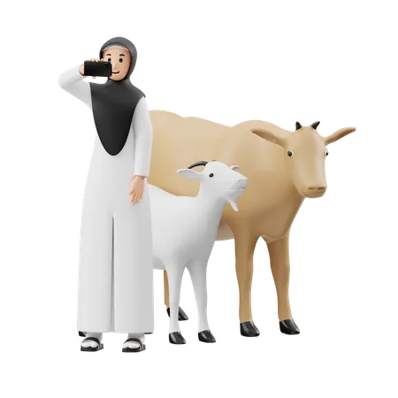 Muslim Woman Taking Selfie In Front Of Sacrificial Animal  3D Illustration