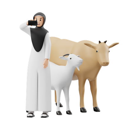 Muslim Woman Taking Selfie In Front Of Sacrificial Animal  3D Illustration