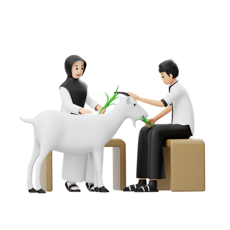 Muslimischer Mann und Frau geben Ziegen Gras  3D Illustration