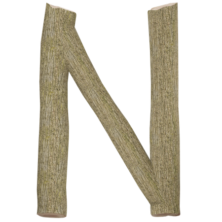 N  3D Icon