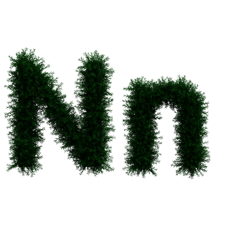 N  3D Icon