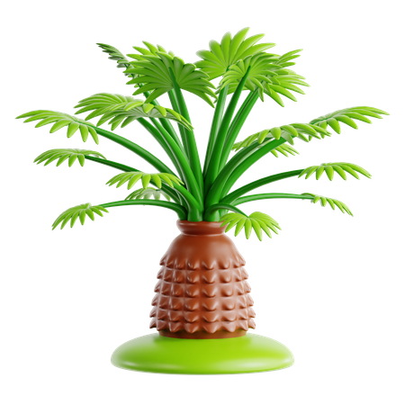 Nadelpalme  3D Icon