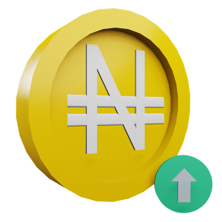 Naira 1  3D Icon