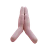 Namaste Hand Gesture