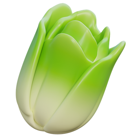 Napa Cabbage  3D Icon