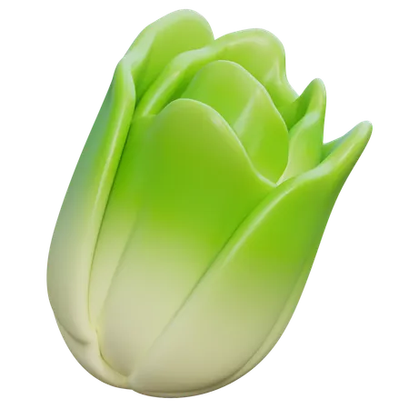 Napa Cabbage  3D Icon