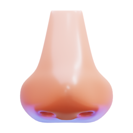 Nariz  3D Icon