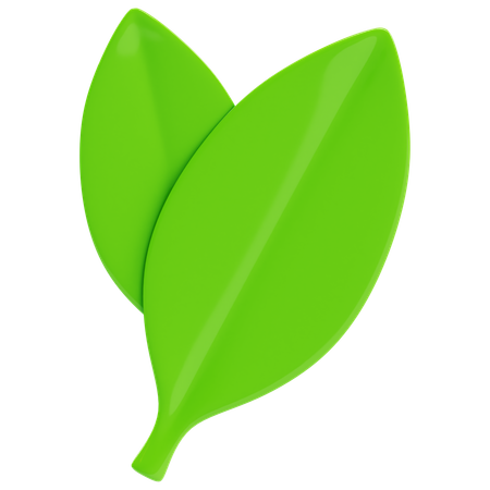 Natur  3D Icon